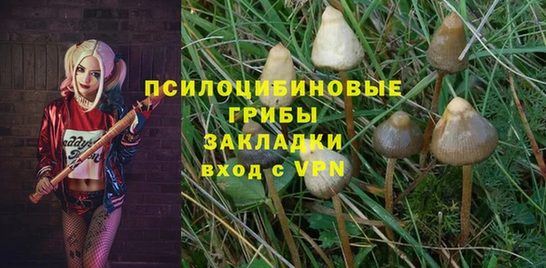 2c-b Алзамай