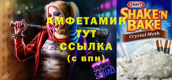 гидра Алексин