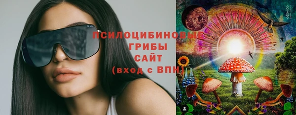2c-b Алзамай